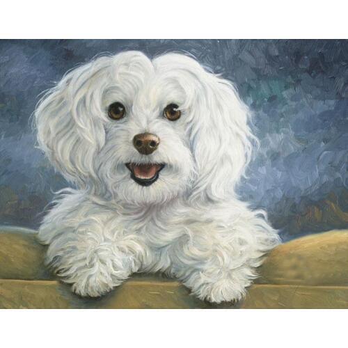 Custom artist animal painting --dog cat sheep Elephant bird art # 100% hand painted TOP Decor ART ---Home Decor painting