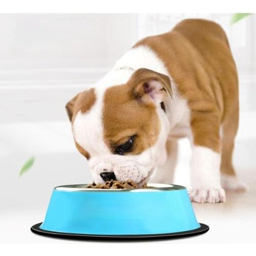 Non-slip Cat Dog Feeder Bowl for Dogs Stainless Steel Pet Dog Bowl Small Medium Large Dog Feede Accessories Pet Supplies