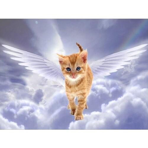 DIY 5D Diamond Embroidery animal Pattern diamond Paintings cross stitch Angel cat picture Rhinestones Diamond Mosaic Kits