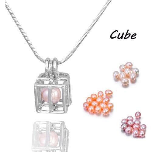 Treasure chest Wish Cage Pendant Mix Design New Arrival Fashion Locket colorful Rice Pearl Snowflake/Snowman Wholesale PP116