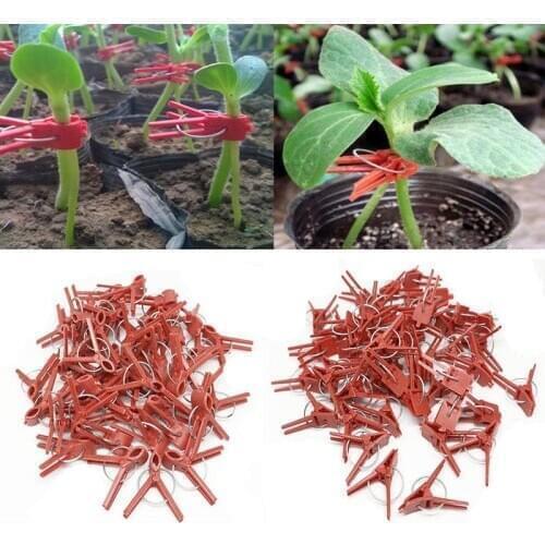 Graft Clips Vegetables Cucumber Clips Garden Plant Support Watermelon Flat Mouth 50pcs Plastic Clips Round Mouth Grafting Tool