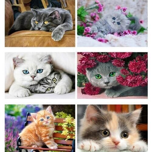 5D Diamond Painting Full Square Cat Diamond Embroidery Animal Mosaic Cross Stitch Kit Pictures Beads Art Home Decor Rp207