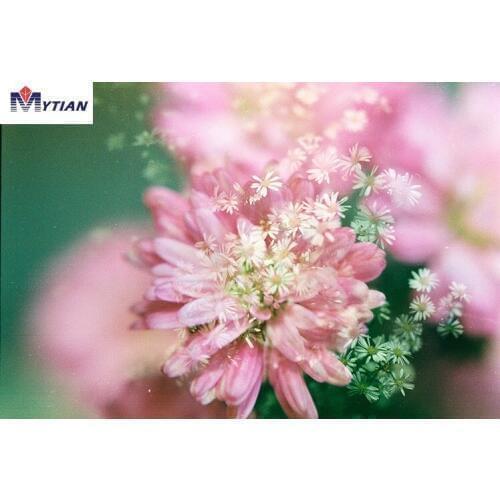 MYTIAN 5D DIY Diamond Painting Flowers Crystal Embroidery Full Diamond Cross Stitch Mosaic Painting Pink Flowers Decor Gift