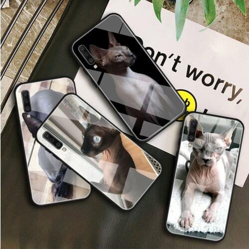Sphynx Sphinx Cat Tempered Glass Case For Samsung Galaxy A10S A10E A20S A20E A30S A40 A50S A60 A70 A80 A90 A6 A7 A8 Shell