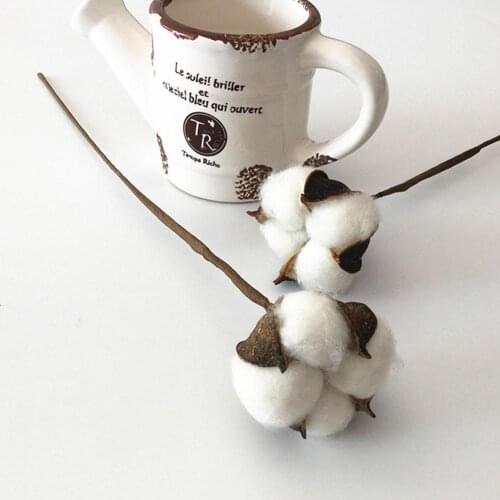 10pcs Naturally Dried Cotton Flowers White Home Decorative Artificial Floral Branch Wedding Bridesmaid Bouquet Decor DIY Materia