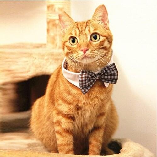Pet Articles Cat And Dog Bow Tie Universal Bow Tie Pet Decoration Accessories Pet Accessories Polychromatic Optional