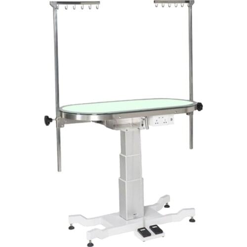 Stylish Electrical lifting Pet Grooming Table with LED Light