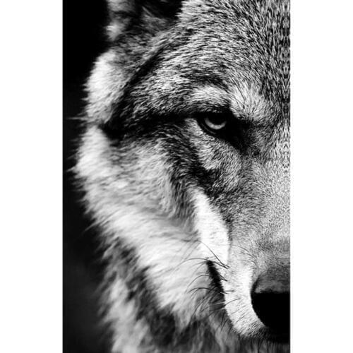 Full Round Drill Diamond Painting Tiger Lion Owl Half Face Black And White Style DIY 5D Diamond Embroidery Full Mosaic Kit