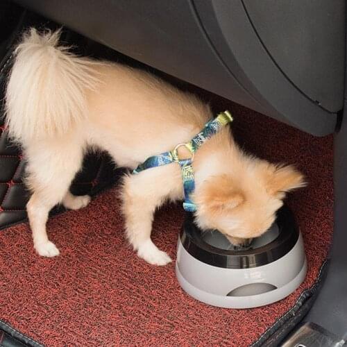 Portable Large Capacity To Prevent Food Leakage 750ml Portable Splash-proof Dog Floating Bowl Water Dispenser Drinking Feeder