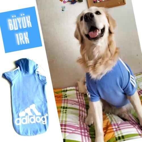 Blue Adidog Dog Hoodie, Sweatshirt for Medium and Large Breeds, Dog Dress, Dog Fashion, dog Clothes, Pet Clothes