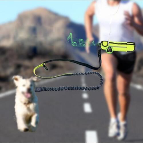 Hand Free Nylon Waist Dog Leash Adjustable Padded Waist Reflective Running Jogging Walking Pet Lead Belt With Pouch Bags