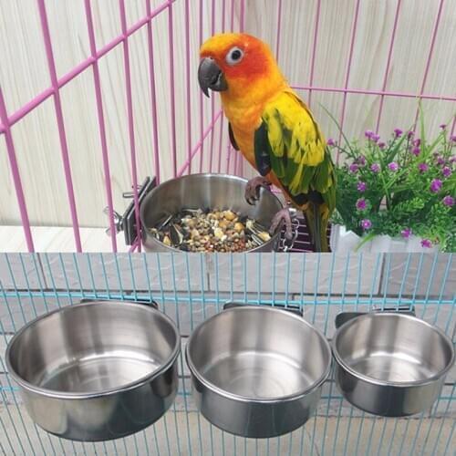 Hedahlia Animal Care Items