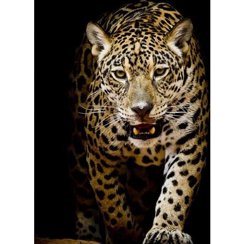 New Fahion 5D DIY Diamond Painting "Walking Beast-Panther" Pattern Diamond art Cross Stitch Embroidery of Rhinestones Decoration