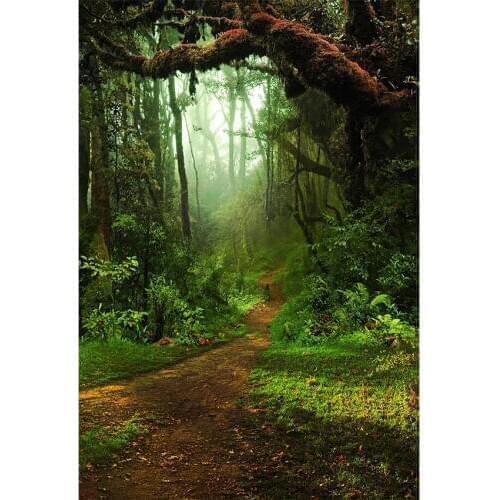 Natural Landscape Series Background For Photography Towering Trees Mountain Path Backdrop For Baby Shower Youtube Videos