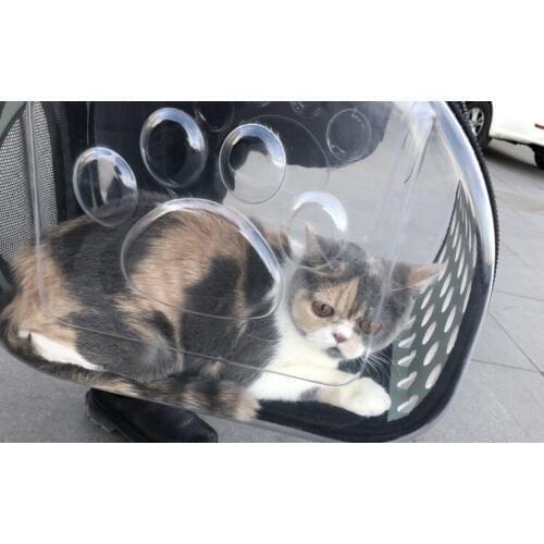 Dog Carrier Foldable Outdoor Travel Carrier for Cat Dog Puppy Cats Carrying Carrier Dog Bag Animal Pet Supplies