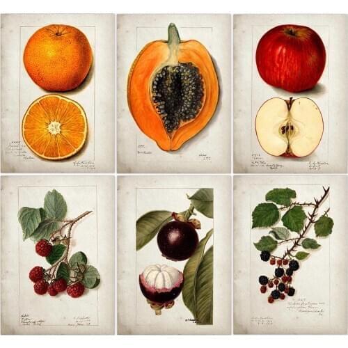 Fruit Kitchen Poster Vintage Poster Antique Print Pear Apple Orange Pineapple Wall Art Decorative Picture Painting Kraft paper