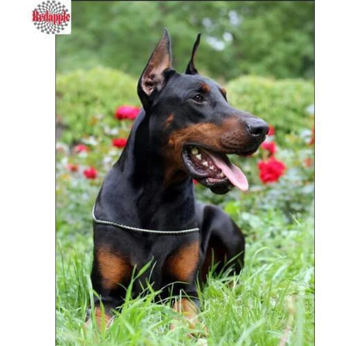 DIY 5D Diamond Mosaic pet Dog 3d Diamond Painting Doberman Pinscher Cross Stitch full square round Diamond Rhinestone Pattern