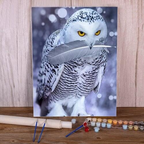 Bird Owl Animal DIY Paint By Numbers Complete Kit Oil Paints 40*50 Oil Painting Loft Wall Picture Crafts For Handicraft