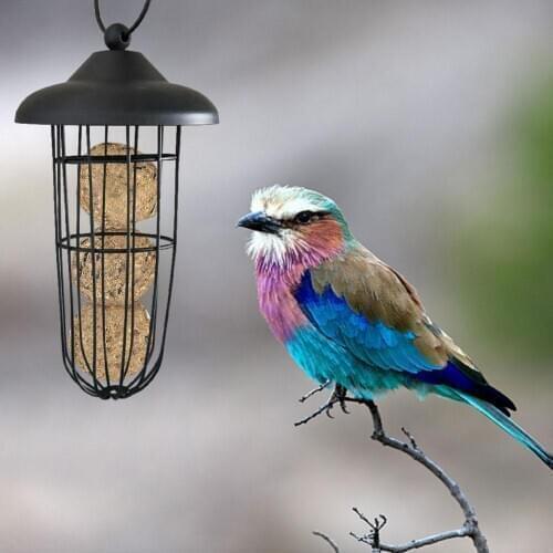 Bird Feeder Hanging Automatic Bird Feeding Tool High Quality Metal Carrying Bird Feeder for Outdoor Use