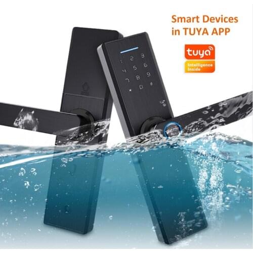Tuya Biometric Fingerprint Lock, Security Intelligent Smart Lock With WiFi APP Password RFID Unlock,Door Lock Electronic Hotels