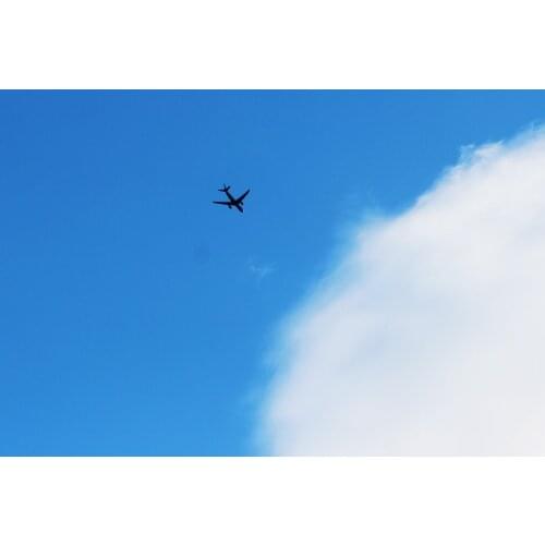 CISSPLAZA for print the shipping label extra shipping