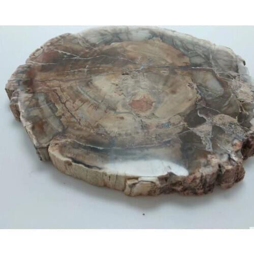 1pcs 200-250g Natural Stones And Minerals Specimen Polished Wood Fossil Slab Rough Stone Slice Gemstone Home Decoration Gifts