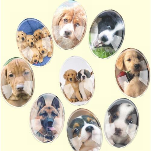 Handmade Glass Mix Size Oval Cute Mixed Dogs Pets Flatback Cameo Cabochon Domed DIY Jewelry Charm Photo Pendant Setting