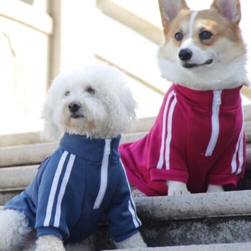 Cotton Pet Dog Hoodie Spring Sports Costume Clothing Pug Dog Clothes High Collar Suit for Small Dogs Medium Animals Walking