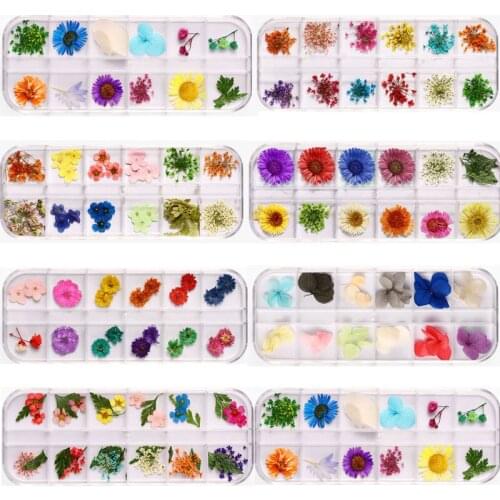 1Box 12 Designs Nail Decoration 3D Charms Dried Real Flowers Nail Art Mini Real Natural Flowers Sticker With UV Gel For Manicure
