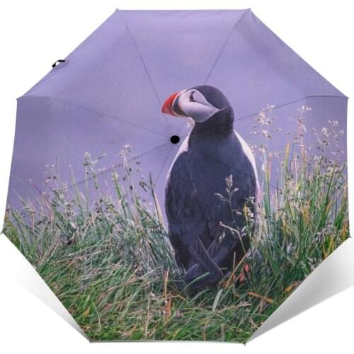Automatic Umbrella Puffin Bird Grass three-fold umbrella women men rain umbrella