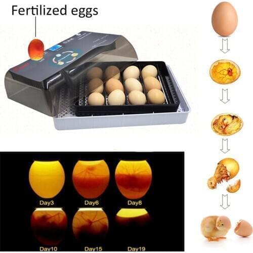 Egg Incubator 9-35 Eggs Digital Fully Automatic Incubator Poultry Hatcher Machine LED DisplayFor Chickens Ducks Goose Birds New
