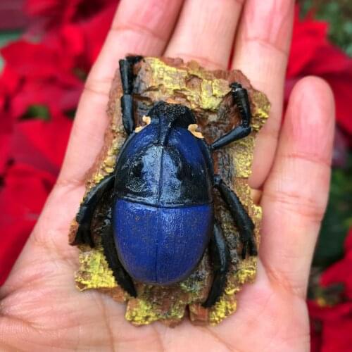 QIQIPP Insect resin animal refrigerator magnet