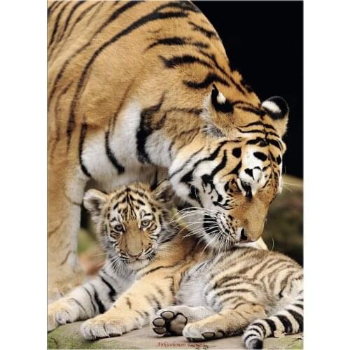 Counted Cross Stitch Kits Needlework Embrodery - Crafts 14 ct Aida Color DIY Arts Handmade Home Decor - Moment of Tenderness