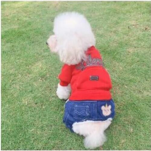 Autumn and Winter New Pet Denim Stitching Embroidered Thickened Four-leg Cotton Coat Suitable for Small Pets to Keep Warm