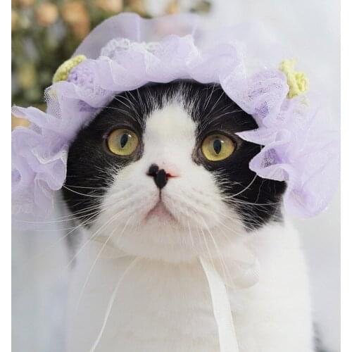 Cute Pet Cat Hats Sweet Lace Cat Headwear Maid Cosplay Party Christmas Costumes Headband Pet Kitten Hat Decorative Accessories
