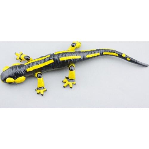 Plastic pvc model figure Amphibian model fire salamander model