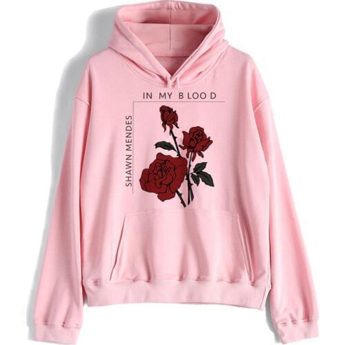 Shawn mendes Pullovers women hoodies 2019 streetwear harajuku Sweatshirt korean style NEW 90s hooded ulzzang female fashion