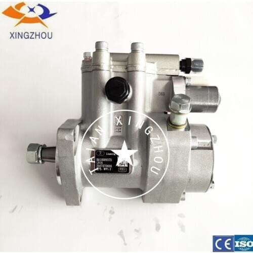 Diesel fuel common rail pump HA10009375 for liaoning xinfeng