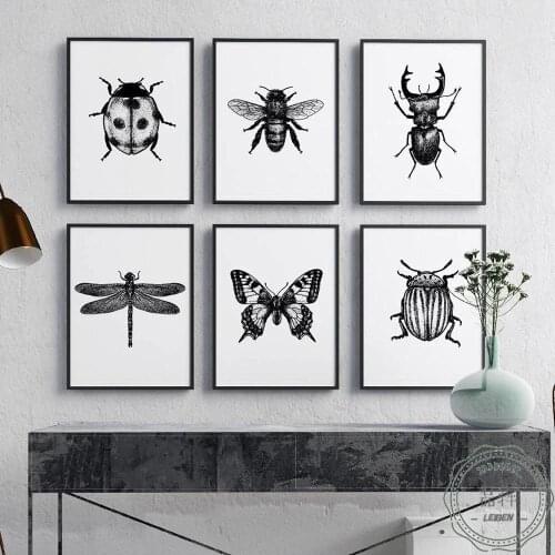 Insect Illustration Wall Art Canvas Painting Butterfly Bee Dragonfly Ladybug Beetle Posters and Prints Wall Pictures Home Decor