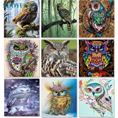 SDOYUNO Owl Paint By Numbers Animals DIY 40x50cm Oil Painting By Numbers On Canvas Frameless Digital Hand Painting Home Decor