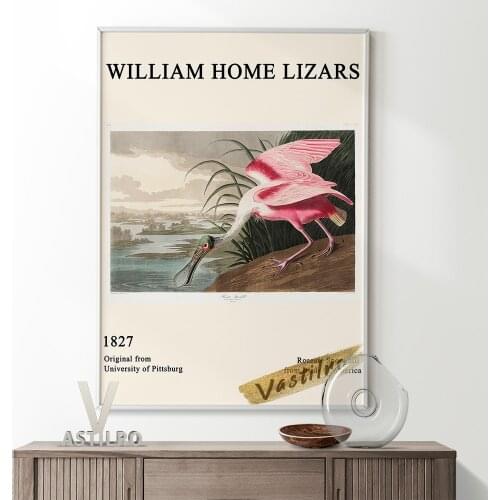 John James Audubon Retro Art Prints Canvas Painting America Bird Illustration Poster Roseate Spoonbill Wall Picture Home Decor