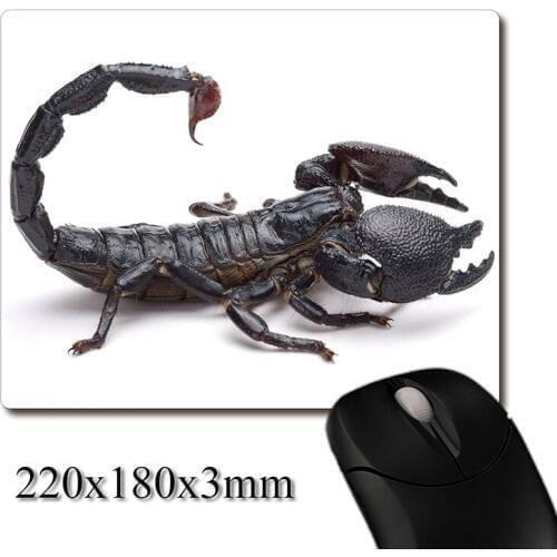 African emperor scorpion printed Heavy weaving anti-slip rubber pad office mouse pad Coaster Party favor gifts 220x180x3mm