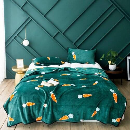 Sisher Fleece Blankets On The Sofa
