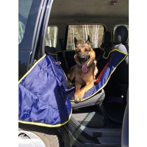 КиНпроф Dog Accessories