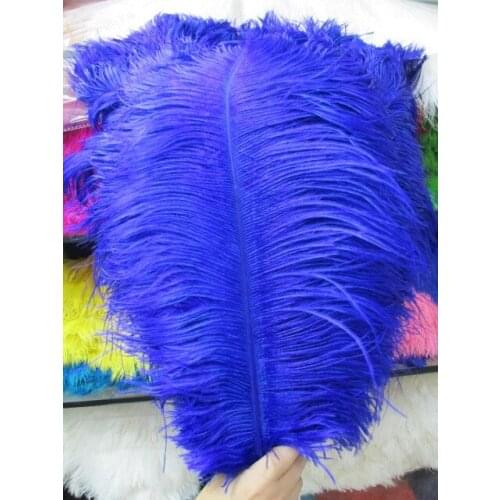 Sales of high-quality 20pcs / Many royal blue ostrich feathers 55-60cm, DIY wedding decorations / decorative home accessories