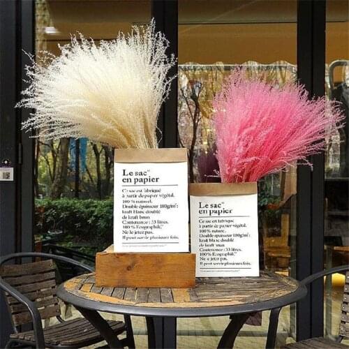 Free Shipping White Pink Color Dried Pampas Grass Decor Natural Plant Wedding Flowers Bunch Easter Home Decor Flower Bouquet