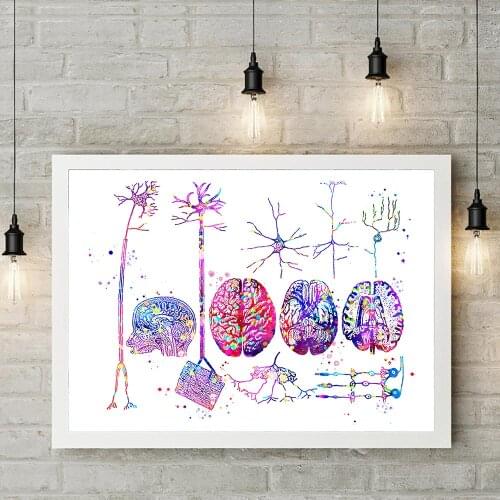 Modular Brain Wall Art Pictures Canvas Painting Nervous System Prints Anatomy Posters Neurons For Office Room Home Decor