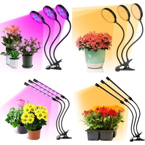 LIGHTLUST Plant Lamps