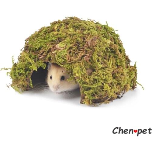 Natural Small Animal Toy Coconut with Forest Moss Hamster Shelter House for Summer Chinchilla Climbing Toys