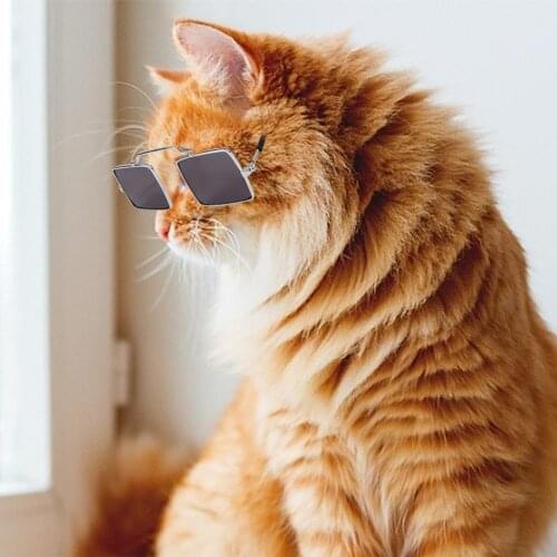 Fashion SunGlasses Universal Cat Dog Square Glasses Sunglasses Photos Props Pet Supplies Cat Accessories